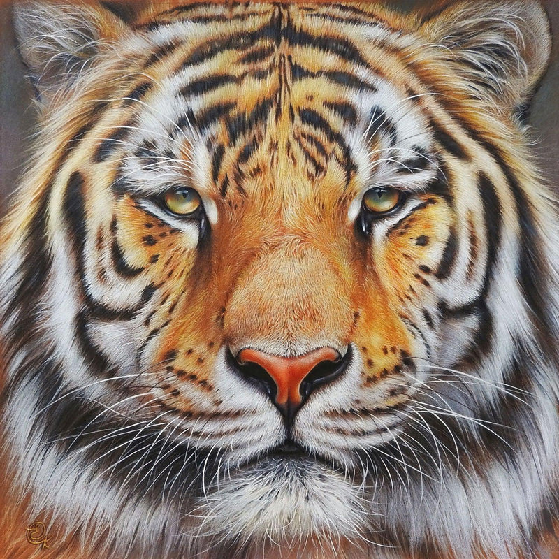 Faces of the Wild - Amur Tiger (Square) Jigsaw Puzzle by Artist Elena Kolotusha and Manufactured by QPuzzles in Queensland