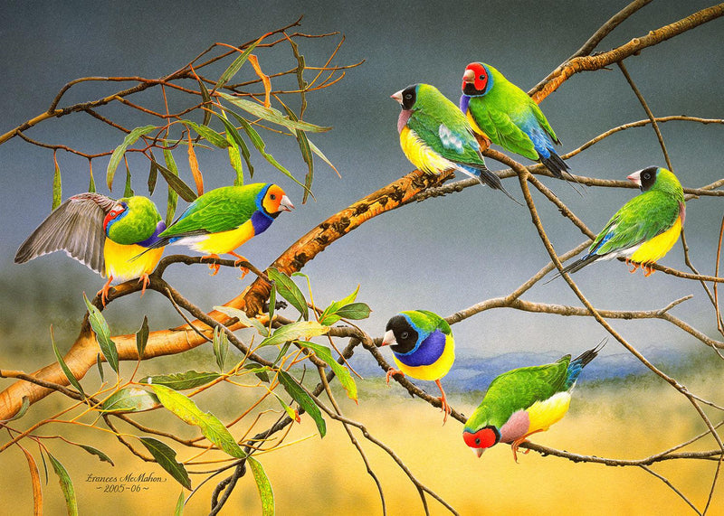Lucky Seven - Gouldian Finches (Landscape) Jigsaw Puzzle by Artist Frances McMahon and Manufactured by QPuzzles in Queensland
