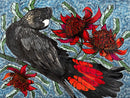 Red Tail & Waratahs (Landscape) Puzzle