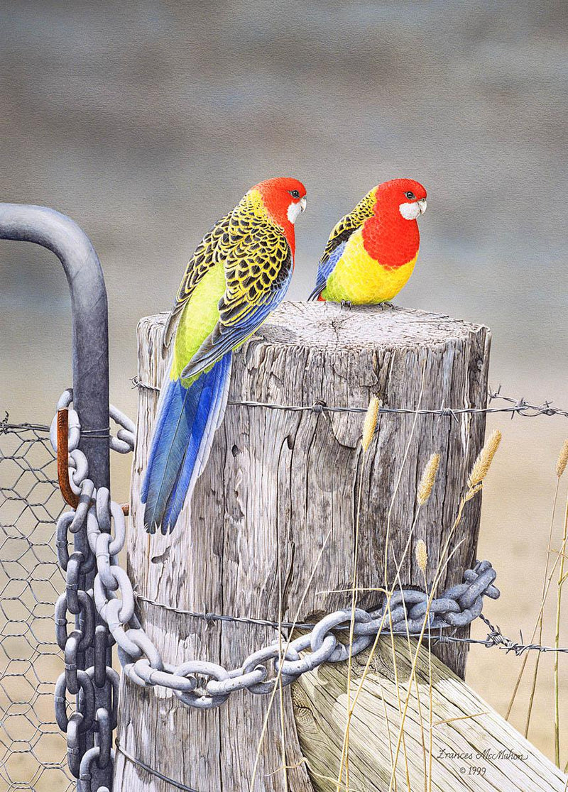 Waiting for the Rains - Eastern Rosellas (Portrait) Jigsaw Puzzle by Artist Frances McMahon and Manufactured by QPuzzles in Queensland