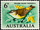 Yellow Tailed Thornbill (Landscape) Jigsaw Puzzle by Artist QPuzzles and Manufactured by QPuzzles in Queensland