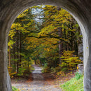 A View to the Other Side (Square) QPuzzles