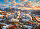 Arctic Foxes (Landscape)
