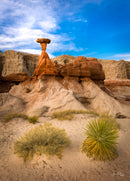 Arizona Toadstool (Portrait)