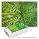 Aussie Grass Tree (Landscape)