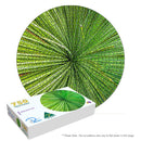 Aussie Grass Tree (Round)