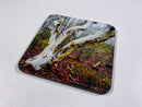 Spirit of the Outback Coaster Collection (Set of 8)