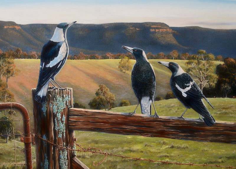 Australian Magpies - Fence Sitters (Landscape) QPuzzles