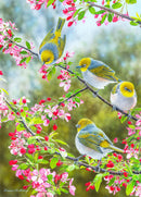 Australian Silver Eyes (Portrait) QPuzzles