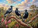 Australian Magpies II (Landscape)