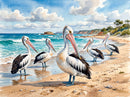 Australian Pelicans (Landscape)