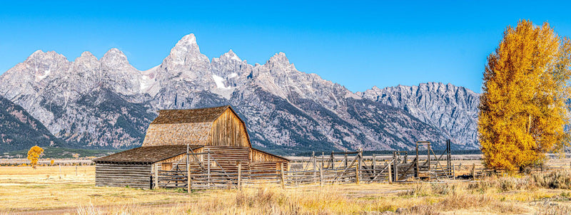 Barn Below the Tetons (Panorama)