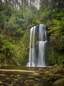 Beauchamp Falls (Portrait)
