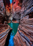 Beauty Revealed (Portrait)