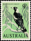 Black-Backed Magpie (Portrait) QPuzzles