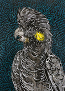 Black Cockatoo (Tray Puzzle) QPuzzles