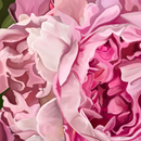 Bliss (Square) QPuzzles