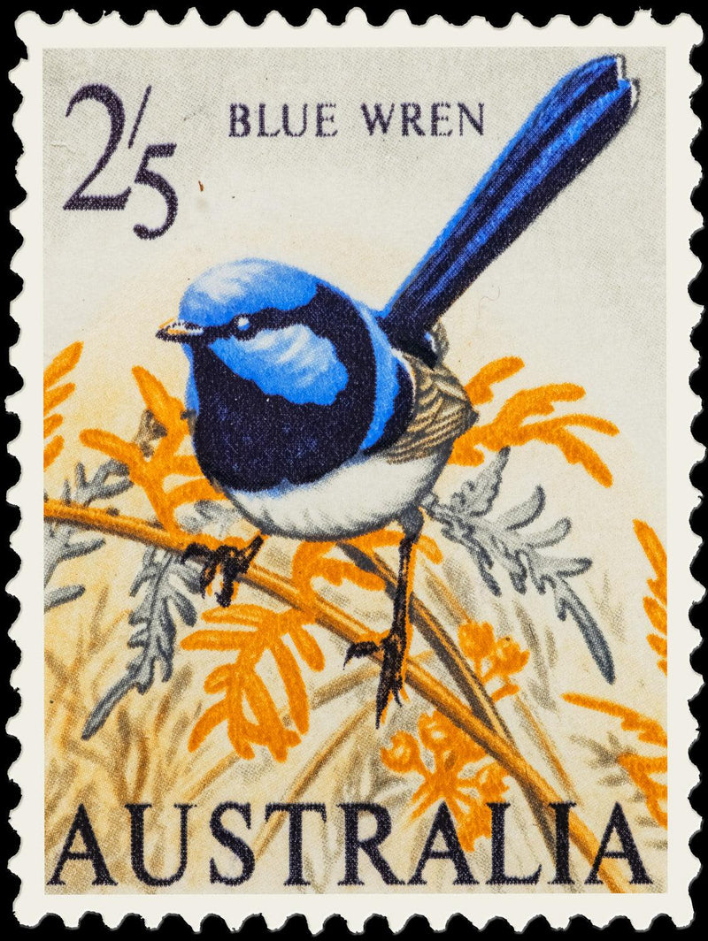 Blue Wren (Portrait) QPuzzles