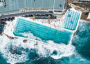 Bondi Icebergs