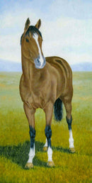 Born To Run (Panorama) QPuzzles