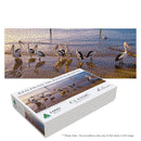 Natures Fishermen (Panorama)