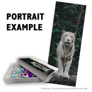 1000 Piece Panoramic (2.7to1) Custom Jigsaw 940x350mm (Retail)