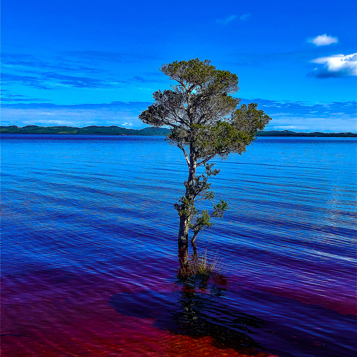 Broke Inlet (Square) - Puzzles Qld Pty Ltd