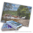 Brumby Crossing (Landscape) QPuzzles