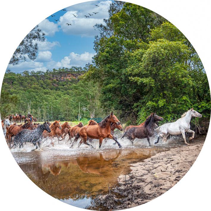 Brumby Crossing (Round) Jigsaw Puzzle by Artist Jaime Dormer and Manufactured by QPuzzles in Queensland