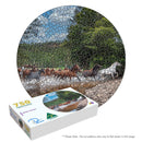 Brumby Crossing (Round)