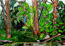 Cassowary (Landscape) QPuzzles