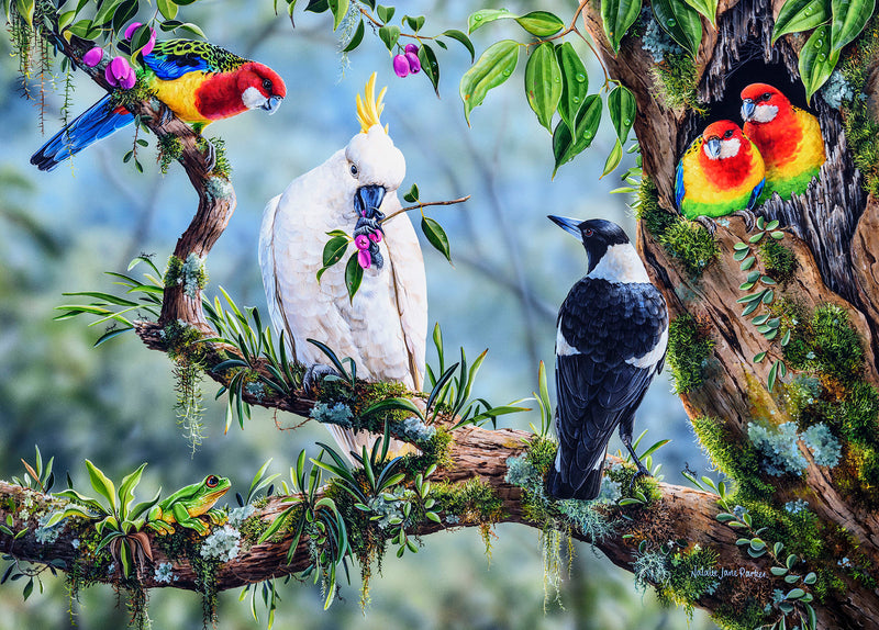 Centre of Attention - Magpie, Cockatoo, Rosellas & Frog (Landscape)
