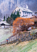 Chalet Lauterbrunnen (Portrait)