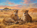 Cheetahs of the Sahara (Landscape)