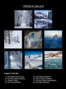 Winter Serenity Coaster Collection (Set of 8)