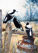 Country Lifestyle - Australian Magpies (Portrait)