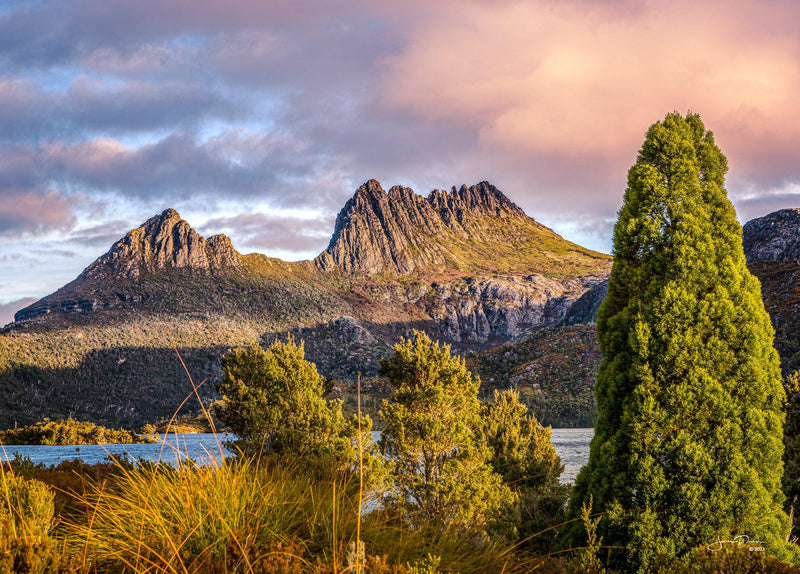 Cradle Mountain Sunset (Landscape)