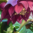 Crimson Glory (Square) Jigsaw Puzzle by Artist Elizabeth Currie and Manufactured by QPuzzles in Queensland