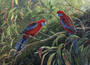 Crimson Rosellas (Landscape) Jigsaw Puzzle by Artist Ebony Bennett and Manufactured by QPuzzles in Queensland