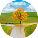 Decisions (Round) Jigsaw Puzzle by Artist Jaime Dormer and Manufactured by QPuzzles in Queensland