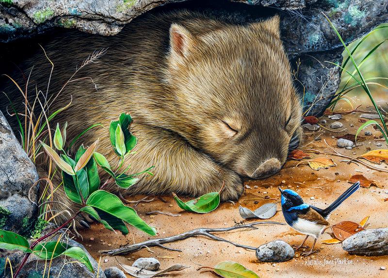 Deep Sleeper - Wombat & Superb Fairy-wren (Landscape)