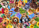 Dogs & Cats (Landscape) QPuzzles
