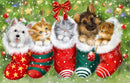 Dogs and Cats in Stockings (Landscape)