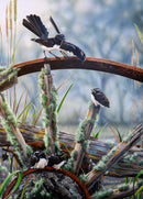 Early Morning Outing - Willie Wagtail (Portrait)