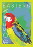 Eastern Rosella (Portrait) Jigsaw Puzzle by Artist Robert Mancini and Manufactured by QPuzzles in Queensland
