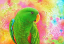 Eclectus Parrot (Landscape) QPuzzles