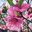 Emerge (Square) Jigsaw Puzzle by Artist Elizabeth Currie and Manufactured by QPuzzles in Queensland