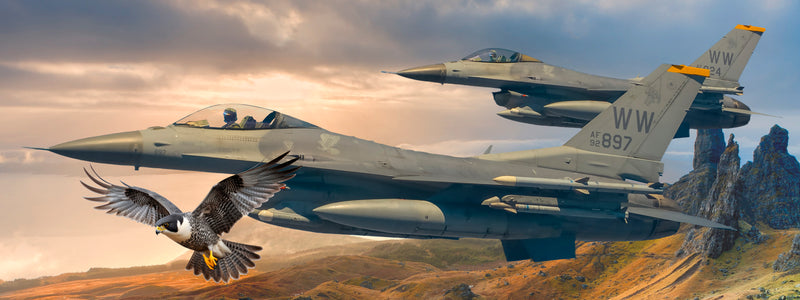 F-16CM Fighting Falcons (Panorama)