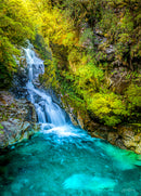 Falls Creek Waterfall NZ (Portrait)