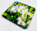 Timeless Florals Coaster Collection